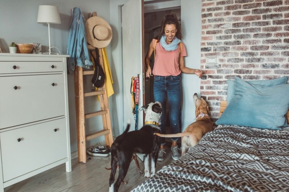 Ganhar Dinheiro Em Casa Oferecendo Serviço de Cuidadora de Animais de Estimação