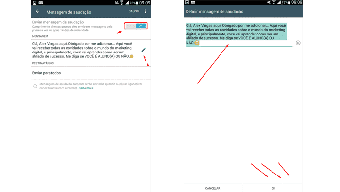 Como cadastrar mensagem de saudação no WhatsApp Business
